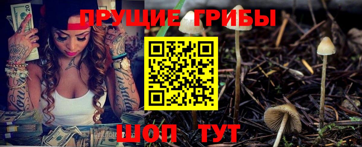 Галлюциногенные грибы Psilocybine cubensis  Псилоцибиновые грибы ЛСД  Березники  Вход с VPN 